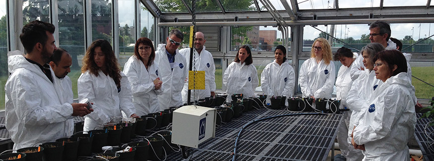 GLOBAL project scientists tour the potato cyst nematode greenhouse research facility at Agriculture and Agri-Food Canada, A GLOBAL partner agency.