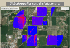 Spatiotemporal Analysis and Dispersal Patterns of Globodera pallida in Idaho