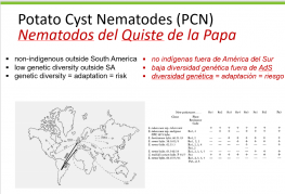 From Genotype to Phenotype, a Worldwide Comparison of Globodera species / De Genotipo a Fenotip, Una Comparación Mundial de Especies de Globodera.Presented by Benjamini at the the 50th ONTA Annual Meeting, Arequipa, Peru. August 20, 2018.   