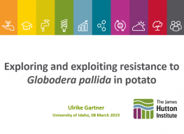 Exploring and exploiting resistance to Globodera pallida in potato.