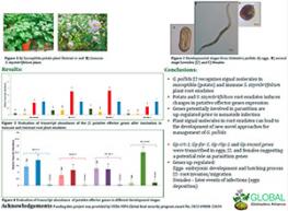 Characterization of Effector Genes from Globodera Pallida in Potato Plants